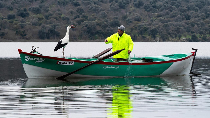 Türkiye'nin Merakla Beklediği Haber Geldi: Yaren Leylek ile Adem Amca 15. Yılda da Bir Arada - Resim: 6