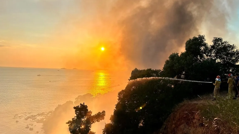 Büyükada’da Plajdan Ormana Sıçrayan Yangın Söndürüldü - Resim : 1