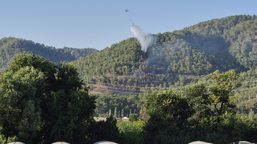 Muğla'da 3 İlçede Peş Peşe Yangın: Havadan ve Karadan Müdahale Sürüyor - Resim : 1
