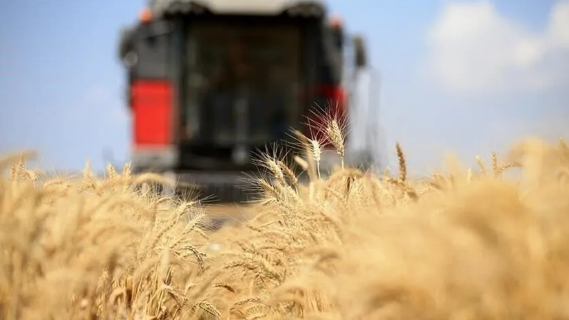 Küresel Gıda Fiyatlarında Alarm Veren Artış: 3,5 Yılın Zirvesine Çıktı - Resim : 1