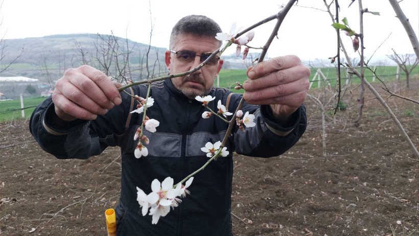 Yaz Meyvesi Kışın Ortasında Çiçek Açtı, 'Bu Ayda Olma Şansı Sıfır' - Resim : 2