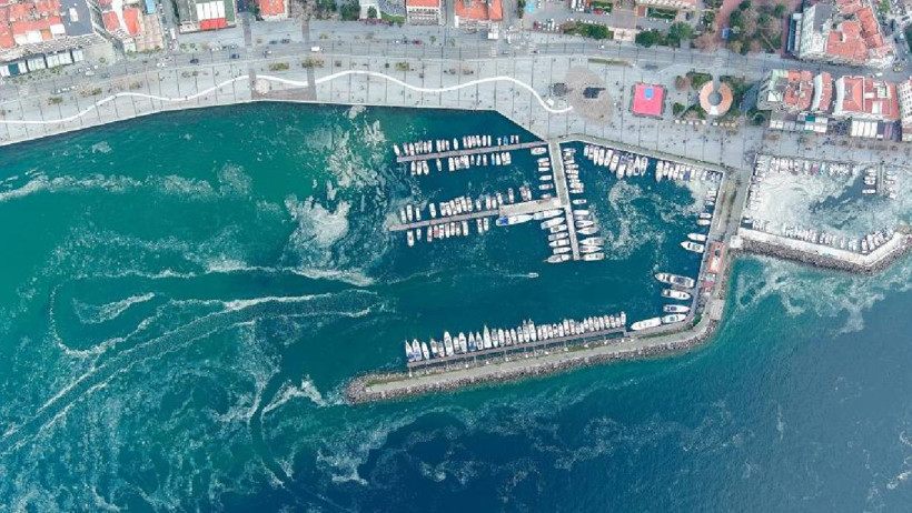 Marmara'nın Müsilaj Kabusu Geri Döndü... Sessiz Sessiz Yaklaştı - Resim : 5