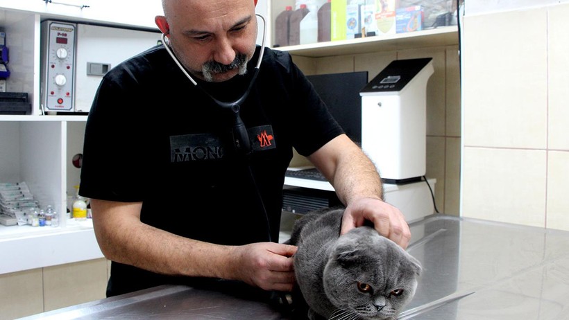 6 Milyonda 1 Görülüyor! Veteriner Hekim Şaşkına Döndü, 'Türkiye'de Daha Önce...' - Resim : 1