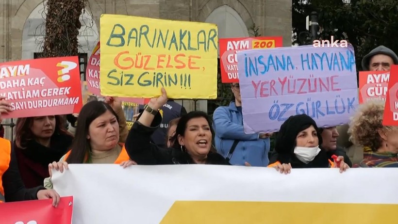 Yaşatacağız Platformundan 'Kanlı Yasa'ya Tepki - Resim : 1