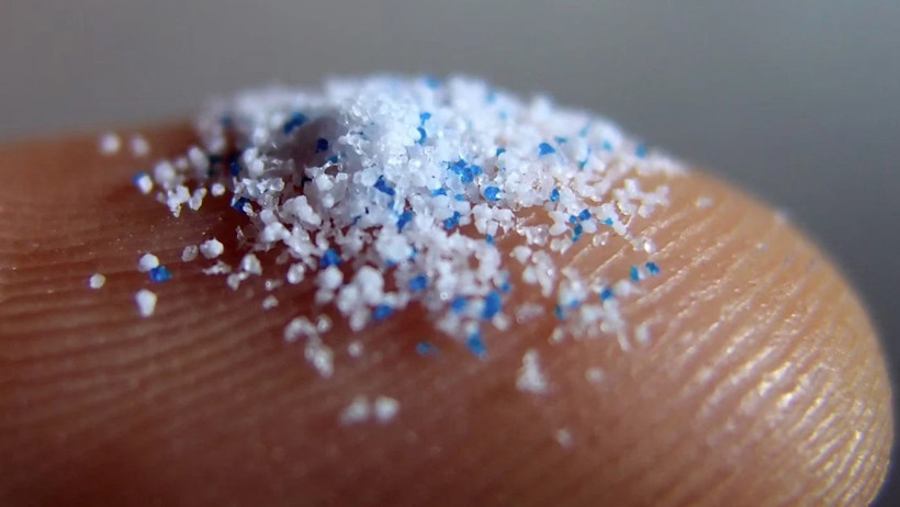 Dikkat Çeken Araştırma Sonucu: Türkiye'de En Çok Mikroplastik Nerede? - Resim : 1