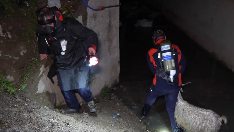 Menfezde Koku Faciası: Zehirlenen 23 Hayvan Hayatını Kaybetti - Resim : 2