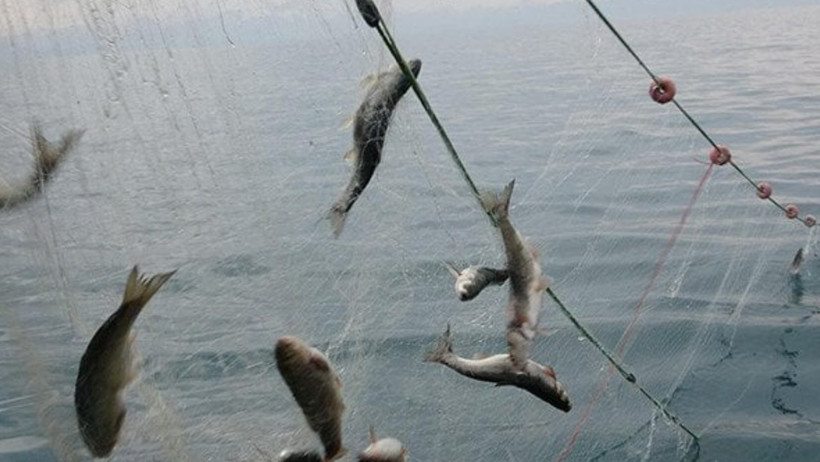 Balık Avı Yasağı Ne Zaman Başlıyor! 2025 Yılı Balık Yasağı Avı Başladı mı? - Resim : 2