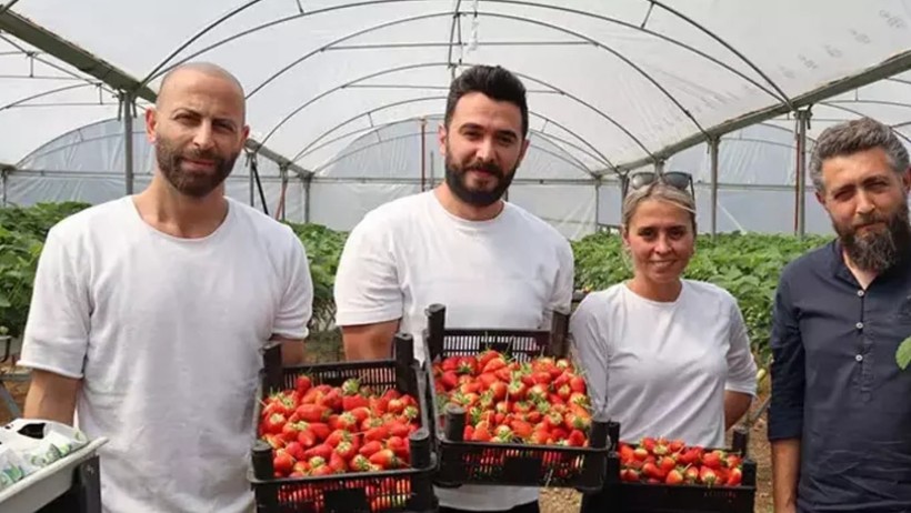 Yalova'da 365 Gün hasat Yapılıyor! Çok Az Para Harcayıp, Çok Fazla Kazanç Sağlıyorlar - Resim : 1