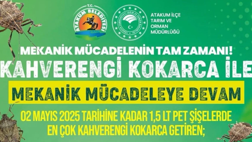 Bu Böceği Getiren Büyük Ödül Verilecek: Belediye Düğmeye Bastı, Resmen Ücretsiz Olacak! - Resim : 1