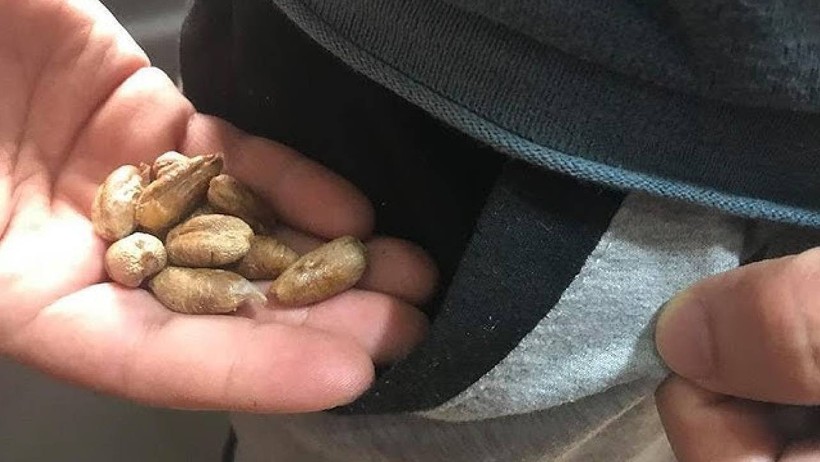 Zenginler Bu Sırrı Biliyor: Cüzdana 1 Tane Koyunca Parayı Mıknatıs Gibi Çekiyor - Resim : 2