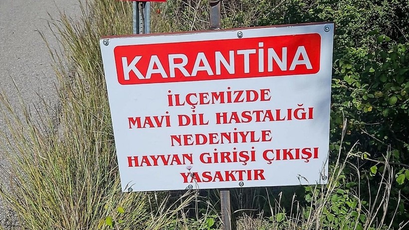 Datça’da Alarm: 'Mavi Dil' Tespit Edildi, İlçe Karantinaya Alındı - Resim : 1