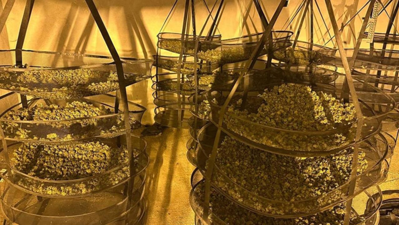 5 Ülkede Eş Zamanlı Düzenlenen 'Orkinos-Bulut' Operasyonunda Yeni Detaylar Ortaya Çıktı - Resim : 2