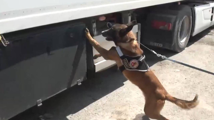 Arnavutköy'de Uyuşturucu Operasyonu: 801,5 Kilogram Metamfetamin Ele Geçirildi - Resim : 1