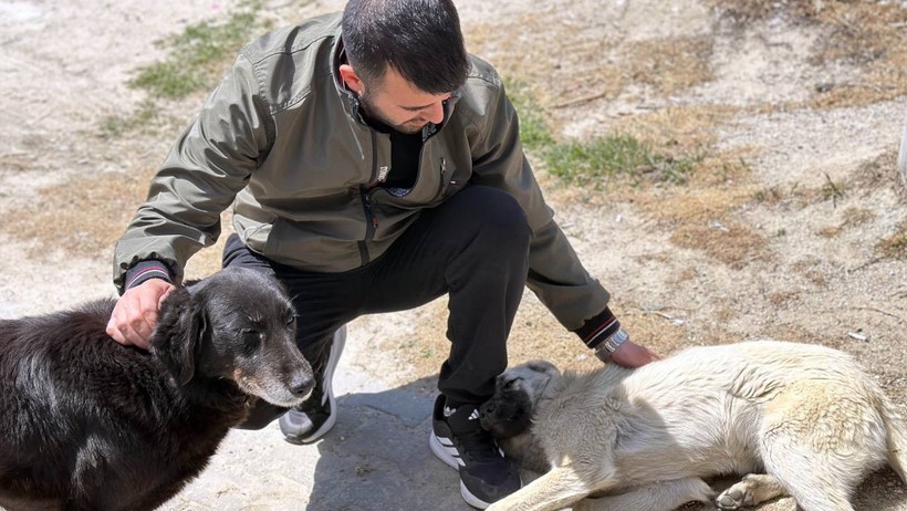 Edirne'de Köpeğe Bastonlu Şiddet: Kapıyı Kapattı, Dakikalarca Vurdu - Resim : 2