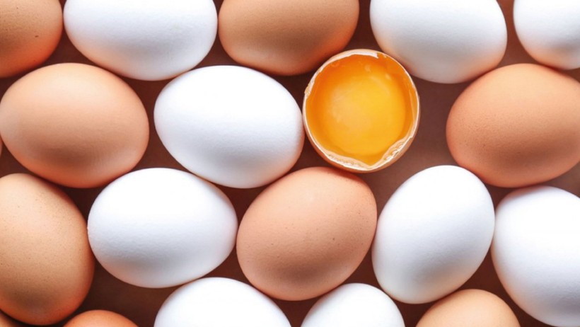 Ne Salmonella Ne de Başka Tehlike: Yumurtanın Tazeliğini Hayatınızı Riske Atmadan Bu Şekilde Anlayabilirsiniz - Resim : 3