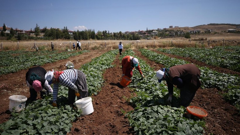 Üretici ile Tüketici Arasındaki Makas Meclis Gündeminde - Resim : 1