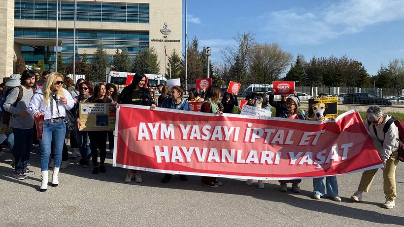 AYM'de Tarihi Gün: 'Katliam Yasası' Görüşülecek... Hayvan Hakları Savunucuları Nöbette - Resim : 1