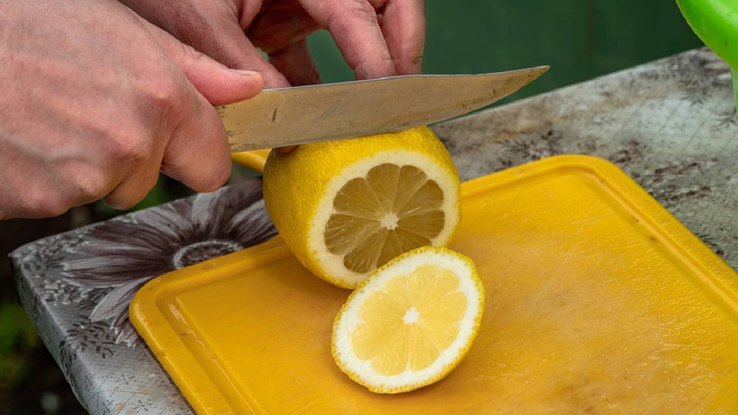 Ne Kimyasal, Ne Koku, Ne Koruyucu: Sinek ve Böceklerlerden Kurtulmanın En Etkili Yöntemi Meğer Buymuş - Resim : 2