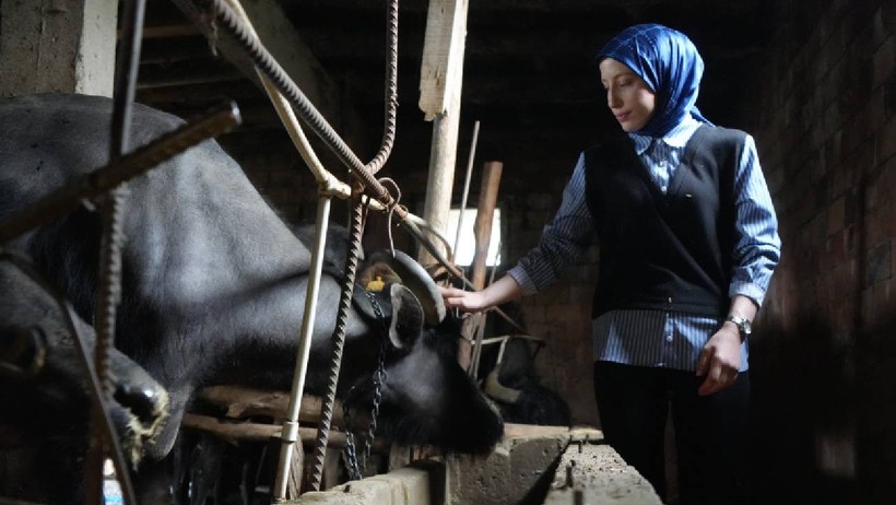 KPSS'ye Hazırlanıyordu, Patron Oldu: 100 Bin TL İle Başladığı İşte Şimdi Paraya Para Demiyor - Resim : 4