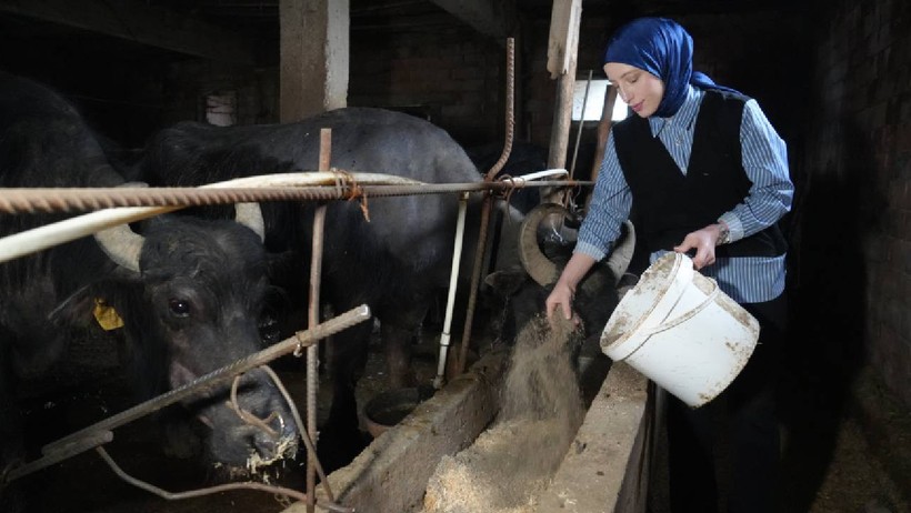 KPSS'ye Hazırlanıyordu, Patron Oldu: 100 Bin TL İle Başladığı İşte Şimdi Paraya Para Demiyor - Resim : 3