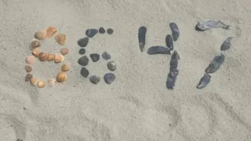 Eski FBI Direktörü Comey'in Paylaştığı Fotoğraf ABD'yi Karıştırdı: Trump'a Suikast Çağrısı Yapmakla Suçlanıyor - Resim : 1