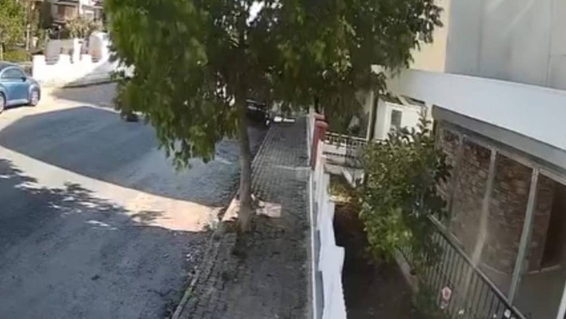 Vicdansızlığın Böylesi! Yolda Yatan Köpeği Ezdi, Yoluna Devam Etti - Resim : 1