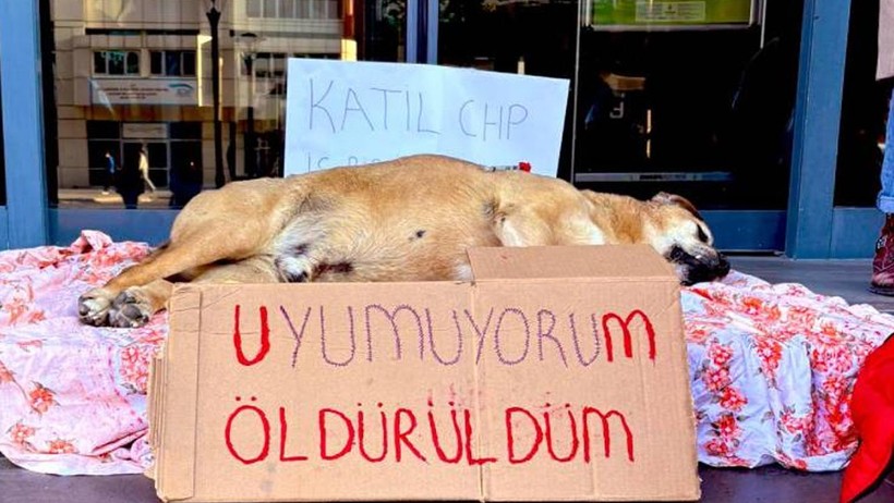 Çankaya’da Katliam Büyüyor! Belediye İçin Bir İşkence İddiası Daha - Resim : 1
