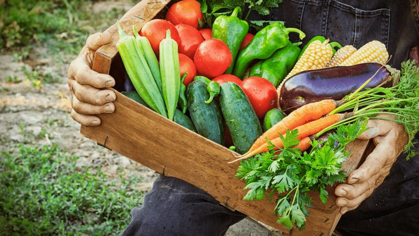 Salatanın Yanına Ekilirse İki Kat Hasat Ediliyor! Bu Sebzeler Birbirinden Besleniyor - Resim : 2