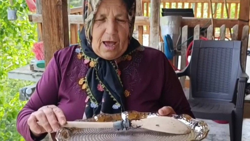 Bu Böceği Öldürmek, Almak ve Satmak Yasak! Cezası Dudak Uçuklattı - Resim : 1