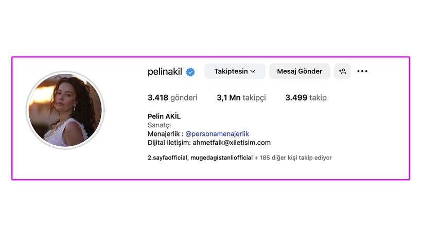 Ünlü Oyuncu Pelin Akil’den Boşanma Kararı Sonrası Şoke Eden Adım! Tüm Köprüleri Yaktı - Resim : 4