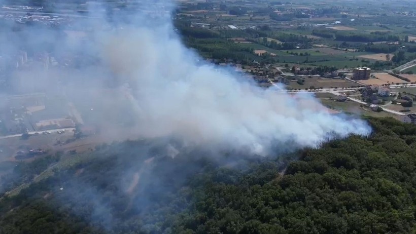 Tokat'ta Orman Yangını! 20 Dönüm Küle Döndü - Resim : 1