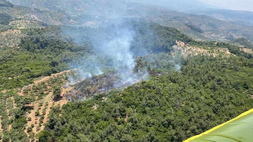 İzmir ve Aydın'da Orman Yangını: Saatler Sonra Kontrol Altına Alındı - Resim : 4