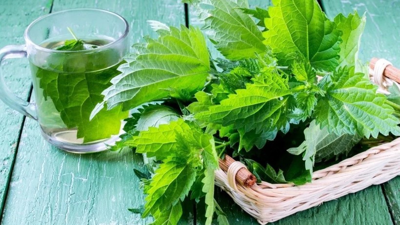 El Değmesiyle Yakıyor: Dökülen Saçları Sırım Gibi Hale Getiriyor, Resmen Vitamin Depoluyor - Resim : 2