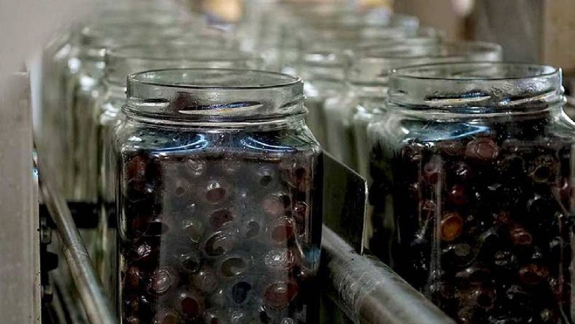 Türkiye'de Zeytin Üretiminde Lider Firma İflas Bayrağını Çekti! Yeni Ses Gıda Konkordato Talebinde Bulundu - Resim : 2