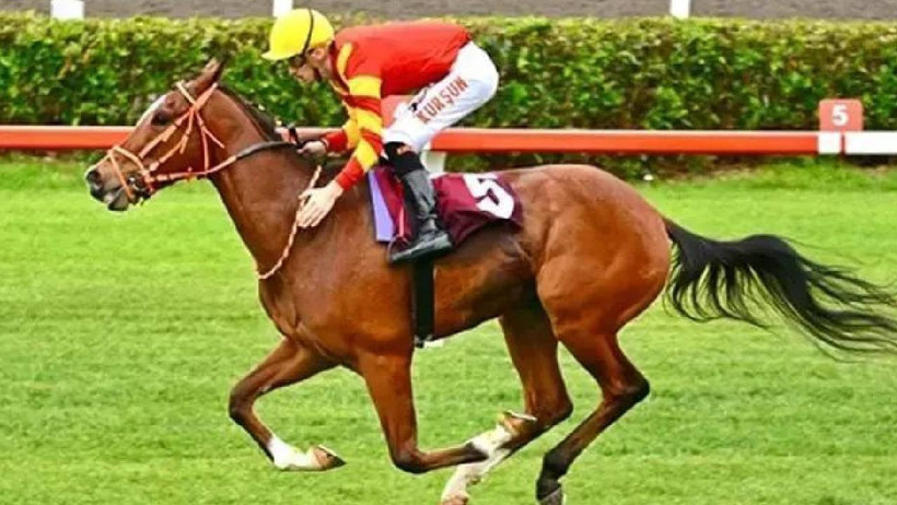 GAZİ KOŞUSU 2025: 99. Gazi Koşusu ne Zaman? Gazi Koşusu Hangi Kanalda Saat Kaçta Yayınlanacak? - Resim : 1