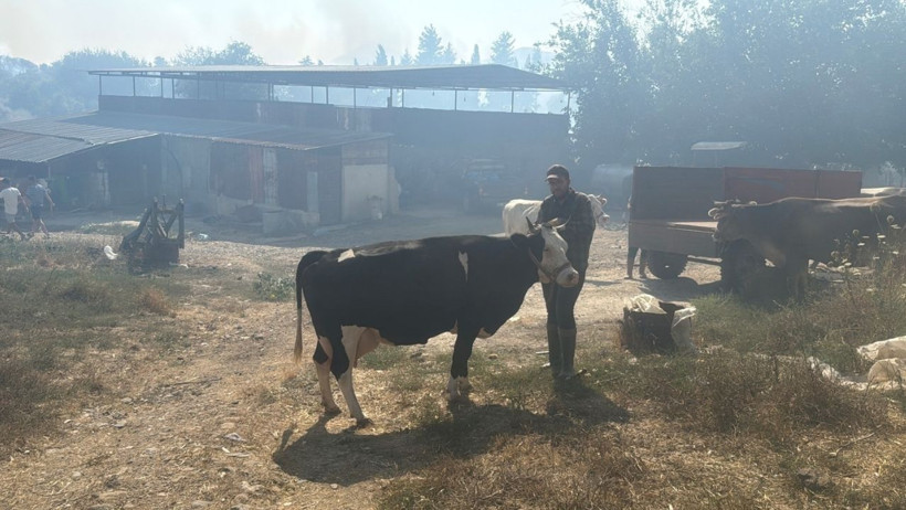 Türkiye Alevlere Teslim: Bir Köy Yok Oldu, Vatandaşlar Tahliye Edildi! İşte Son Durum - Resim : 12