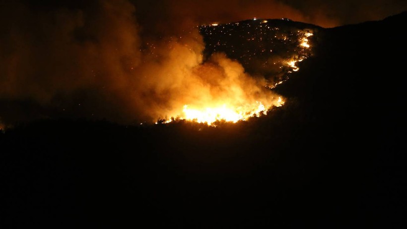 Ormanlarımız Alev Alev Yanıyor! İzmir, Hatay ve Manisa'da Yangınla Mücadele Sürüyor, Binlerce Kişi Tahliye Edildi - Resim : 9
