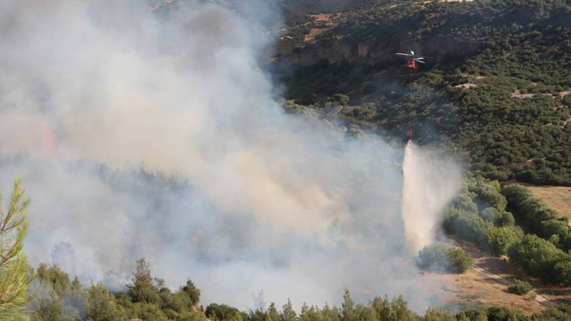 Orman Yangınlarında Son Durum Ne? Bakan En Kritik İli Açıkladı, 'Önümüzdeki 1 Haftaya Dikkat' Dedi - Resim : 9