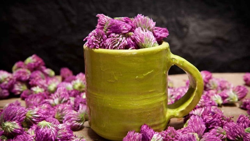 Ne Siyah Çay Ne Yeşil Çay Ne Matcha! Cilde ve Kalbe Reset Atıyor, Vücudu Toparlıyor - Resim : 2