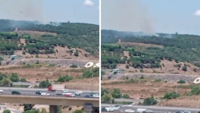 Sultangazi Kent Ormanı'nda Yangın - Resim : 1