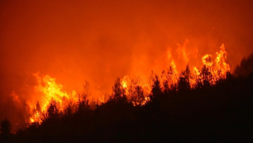 Buca'da Alevlerin İçinde Can Pazarı! Korku Dolu Anlar Böyle Görüntülendi: Cehennem Oldu Burası - Resim : 1