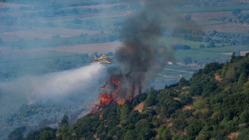 Orman Yangınlarına Her Gün Bir Yenisi Ekleniyor: Artık Neyi Bekliyoruz? - Resim : 1