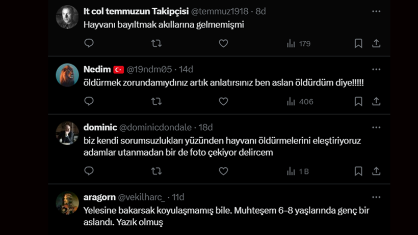 Korkunç Katliam Sosyal Medyayı Ayağa Kaldırdı! Firari Aslanı Bayıltmak Yerine Öldürdüler - Resim : 4
