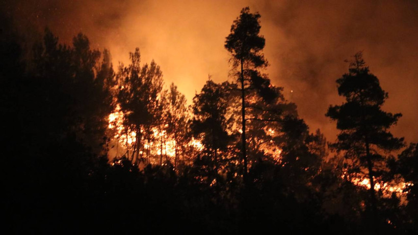 Lazkiye Yangını 10. Gününde: Alevler Türkiye Sınırında, Hatay Valisi'nden Açıklama - Resim : 3