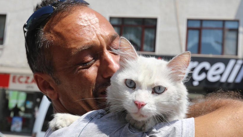 22 Günlük Hasret Bitti: Sokak Sokak Aradığı Kedisine Kavuştu! Sevinç Gözyaşları Döktü - Resim : 3