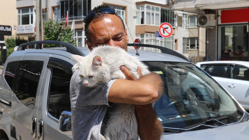 22 Günlük Hasret Bitti: Sokak Sokak Aradığı Kedisine Kavuştu! Sevinç Gözyaşları Döktü - Resim : 1