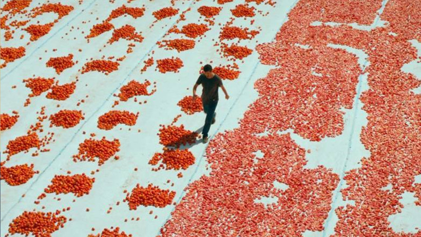 Türkiye'nin Oscar Adayı Belli Oldu! Büyük Beğeni Toplamıştı... - Resim : 1
