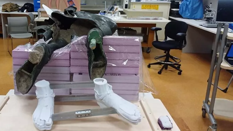 ABD’den Geldi! Altın Kadar Değerli… Türkiye’nin Gözbebeği 65 Yıl Sonra Evinde - Resim : 4