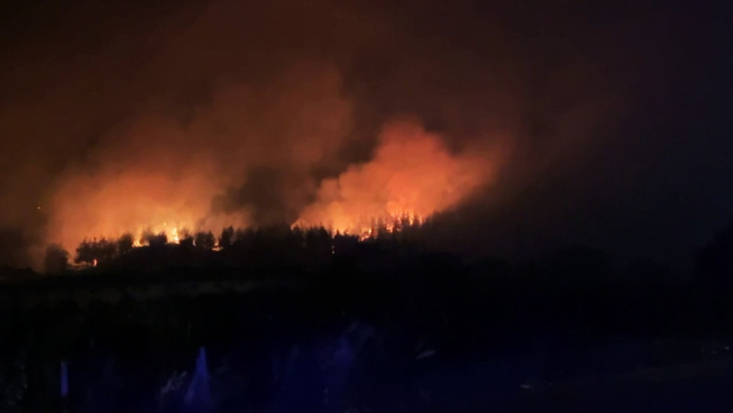 Sakarya'da Orman Yangını! Bir Mahalle Tahliye Edildi - Resim : 2