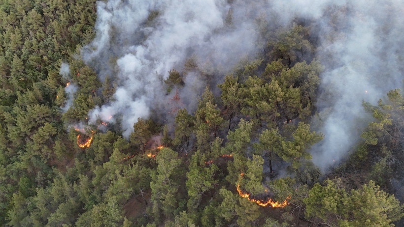 Kızıl Kabus 8 İli Sardı! Bakan Yumaklı Son Durumu Açıkladı! Sakarya'da Bir Yeni Yangın Daha - Resim : 8